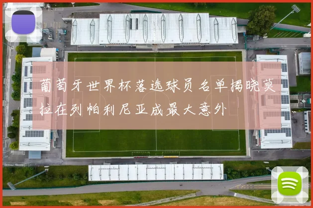 葡萄牙世界杯落选球员名单揭晓莫拉在列帕利尼亚成最大意外